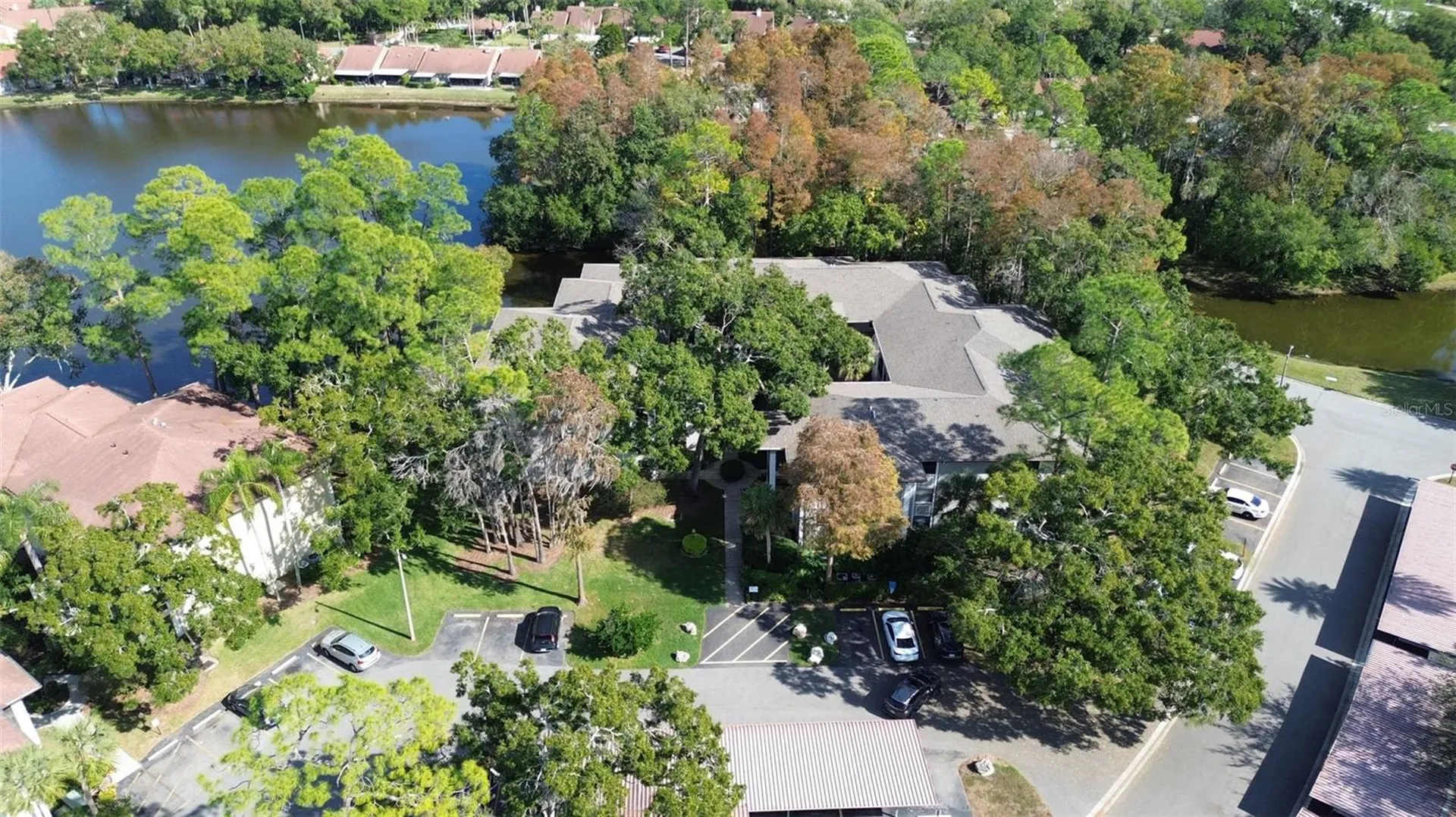 3399 Mermoor Drive Palm Harbor FL 34685