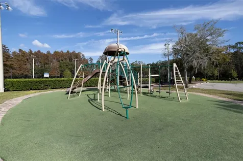 3399 Mermoor Drive Palm Harbor FL 34685