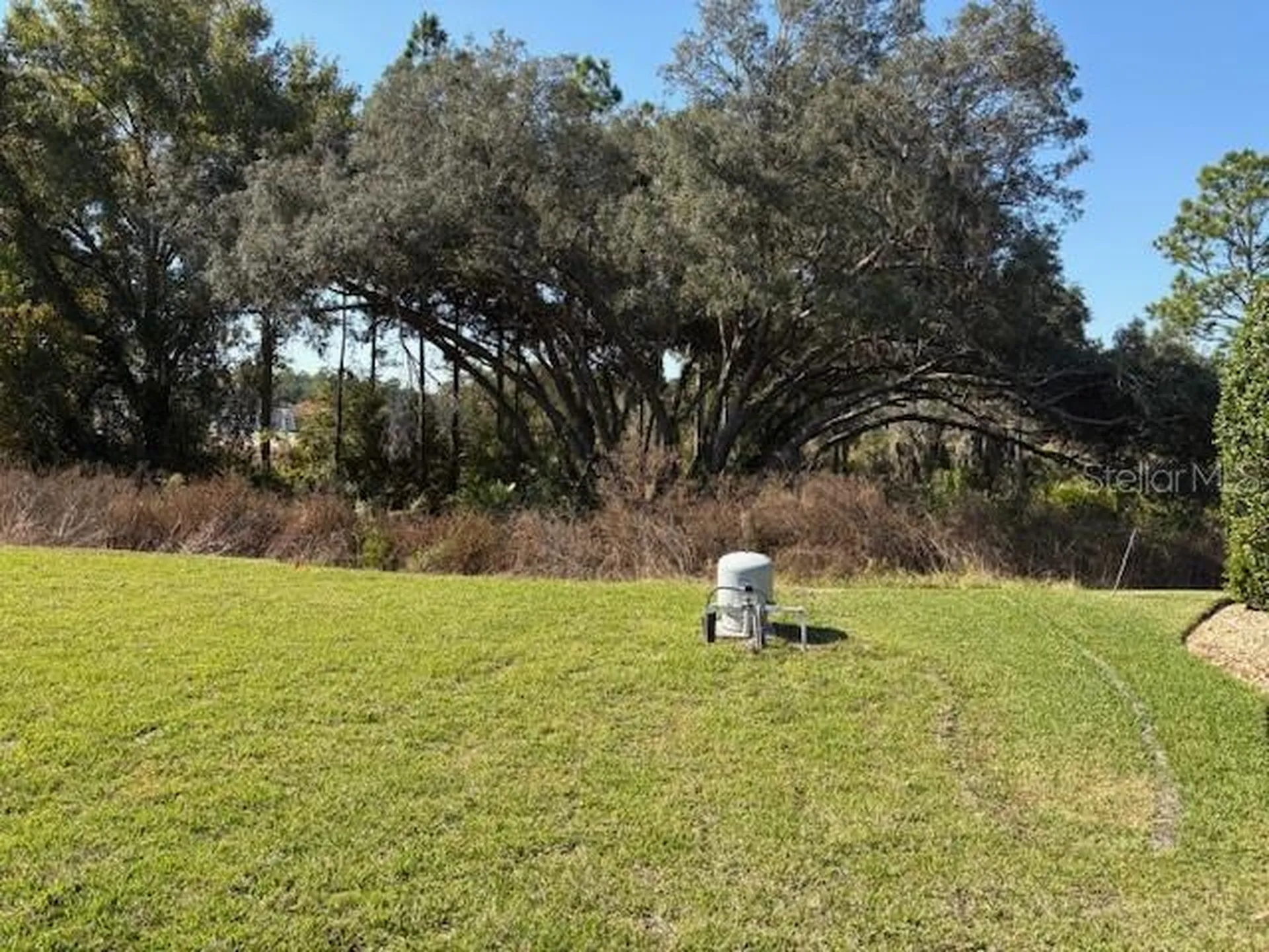 6770 SW 179th Avenue Road Dunnellon FL 34432