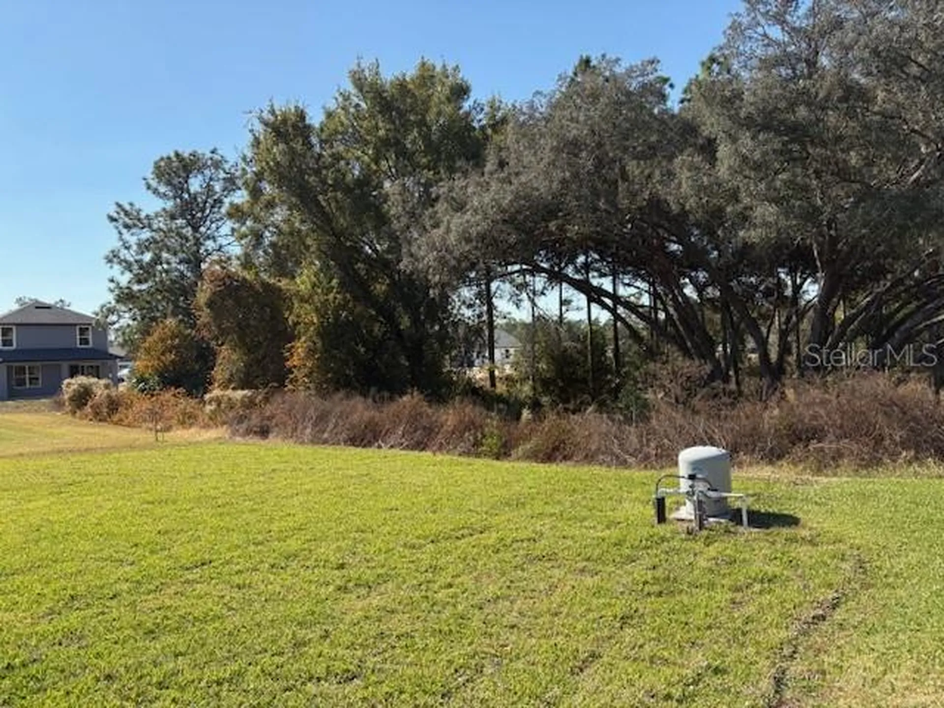 6770 SW 179th Avenue Road Dunnellon FL 34432