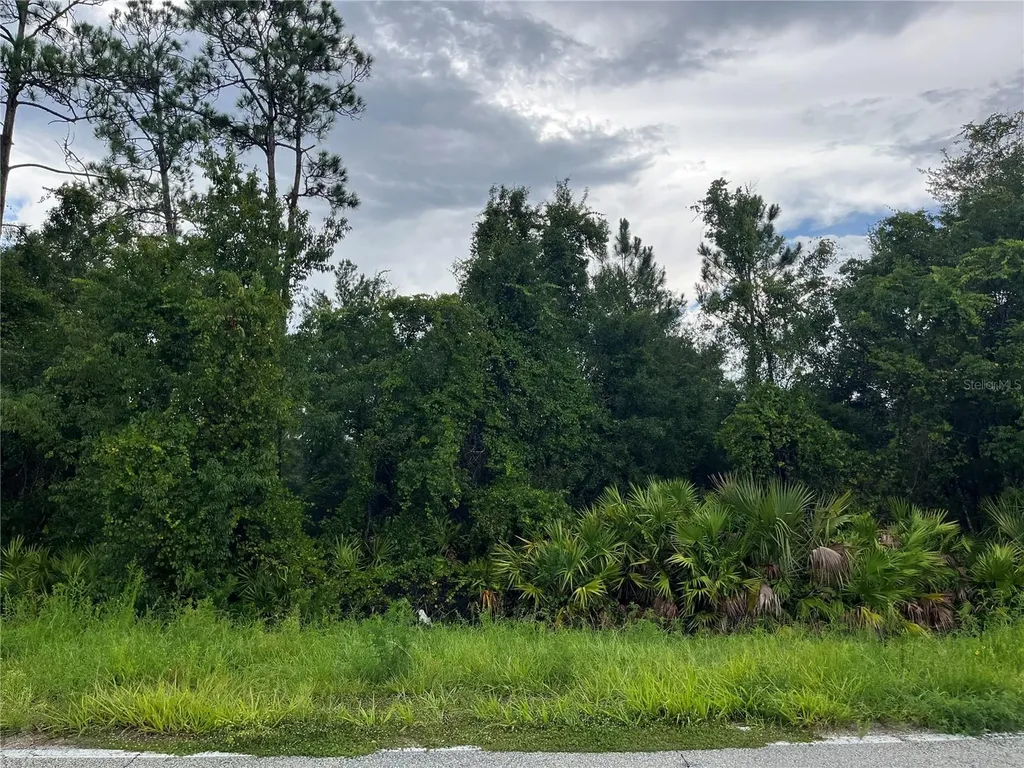 6883 Street Johns Avenue Palatka FL 32177