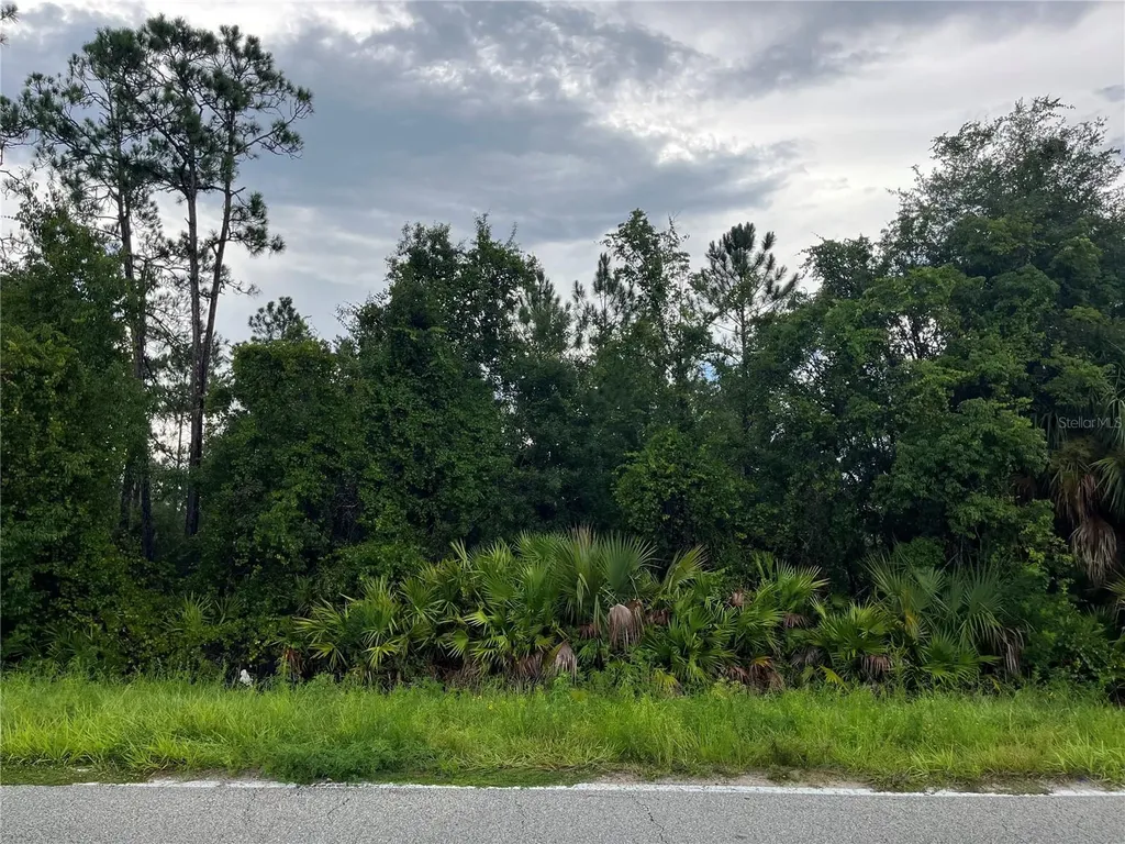 6883 Street Johns Avenue Palatka FL 32177