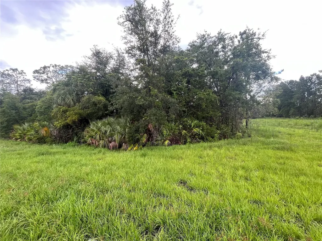 6883 Street Johns Avenue Palatka FL 32177