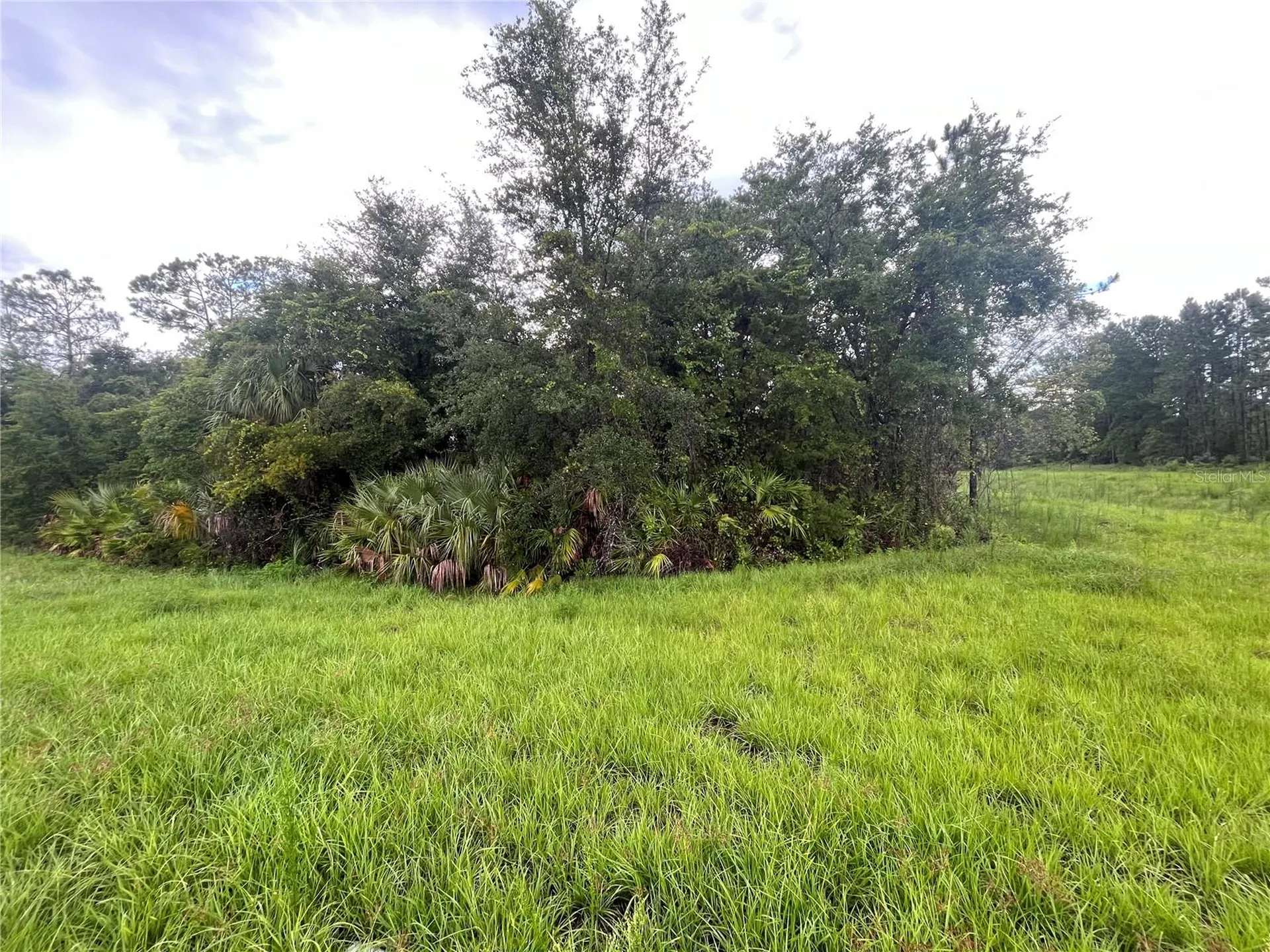 6883 Street Johns Avenue Palatka FL 32177