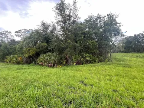 6883 St Johns Avenue Palatka FL 32177