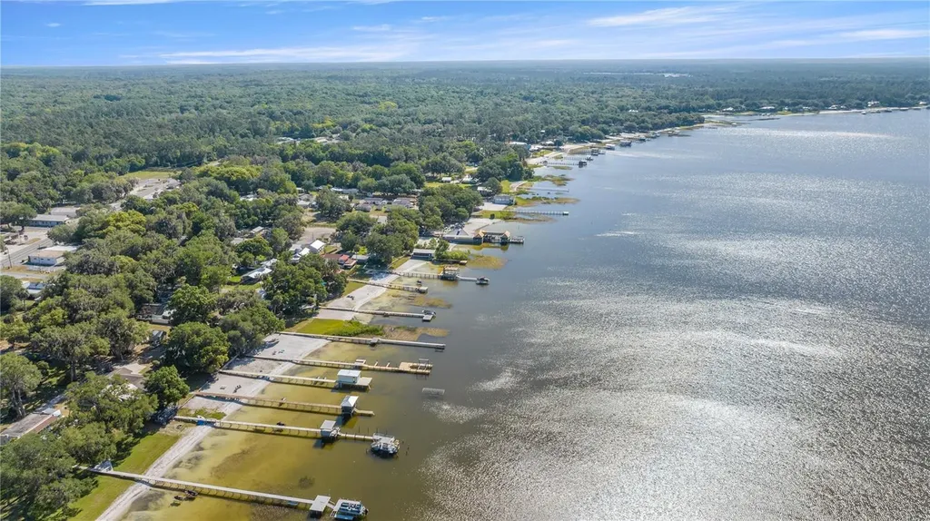 12351 SE Highway 464 Ocklawaha FL 32179
