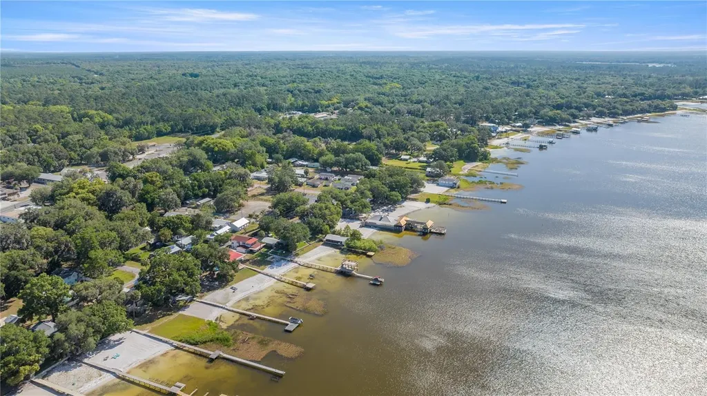 12351 SE Highway 464 Ocklawaha FL 32179