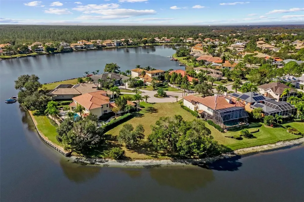 17903 Bimini Isle Court Tampa FL 33647