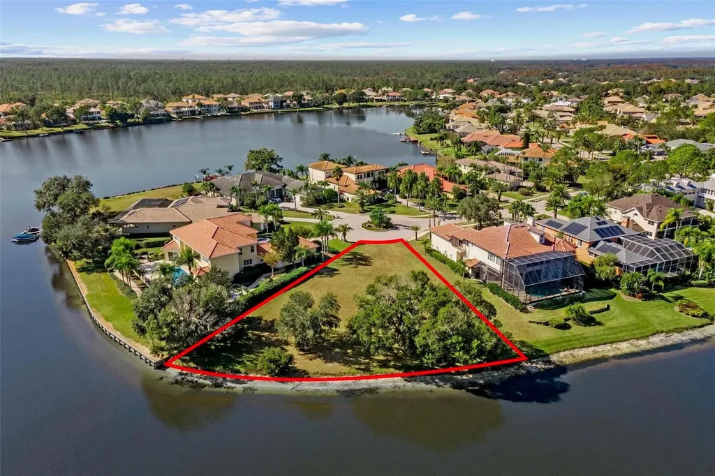 17903 Bimini Isle Court Tampa FL 33647