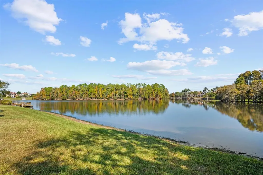17903 Bimini Isle Court Tampa FL 33647