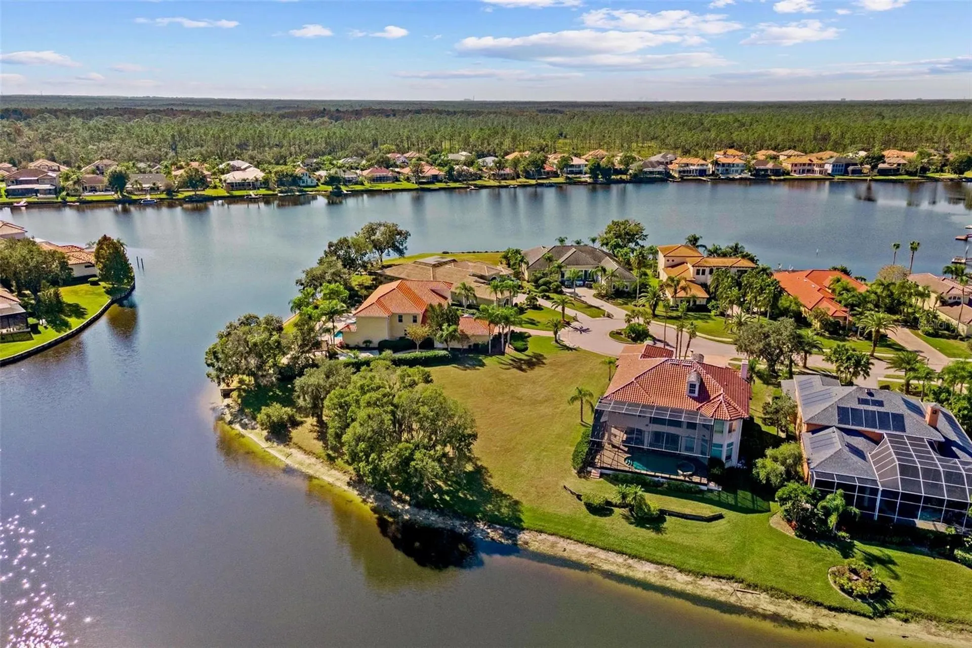 17903 Bimini Isle Court Tampa FL 33647