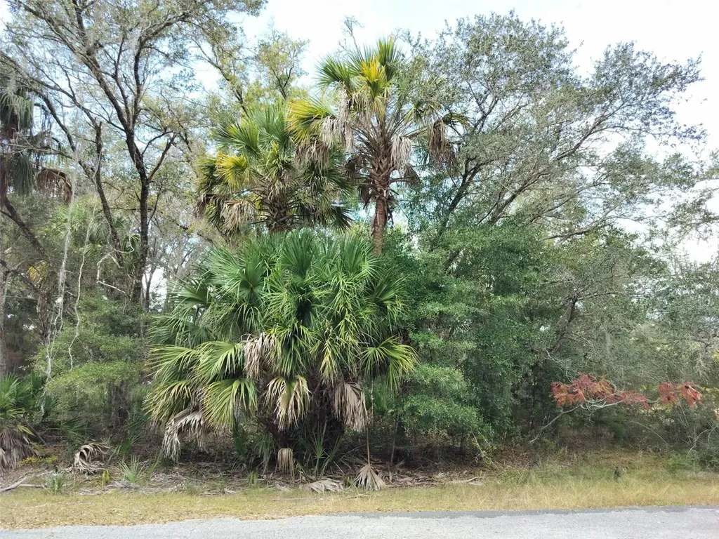9999 N Snowball Point Crystal River FL 34428