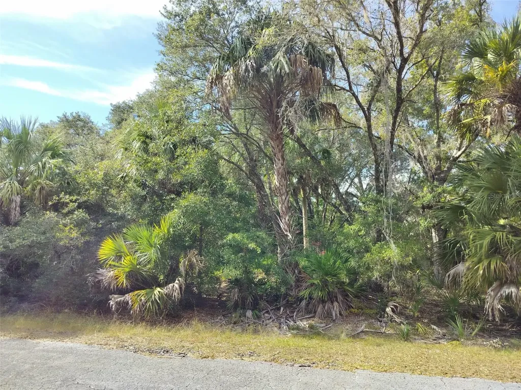 9999 N Snowball Point Crystal River FL 34428