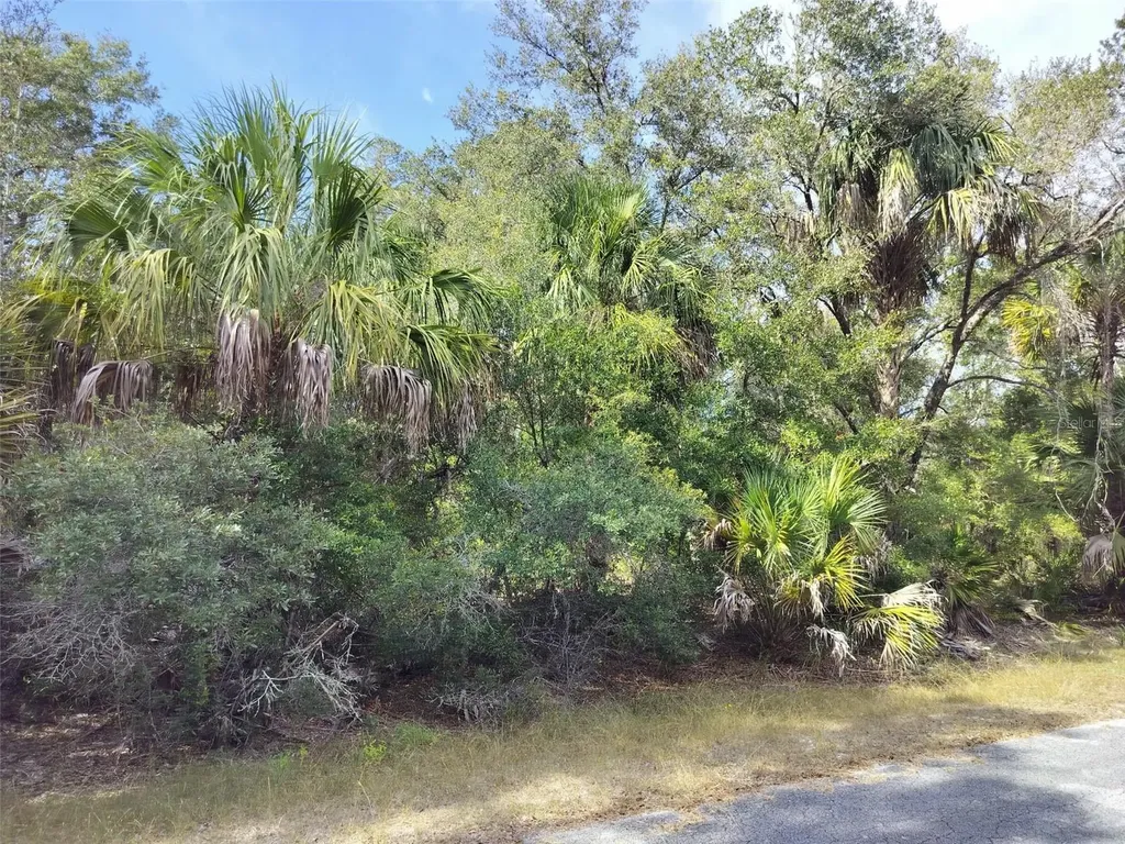 9999 N Snowball Point Crystal River FL 34428