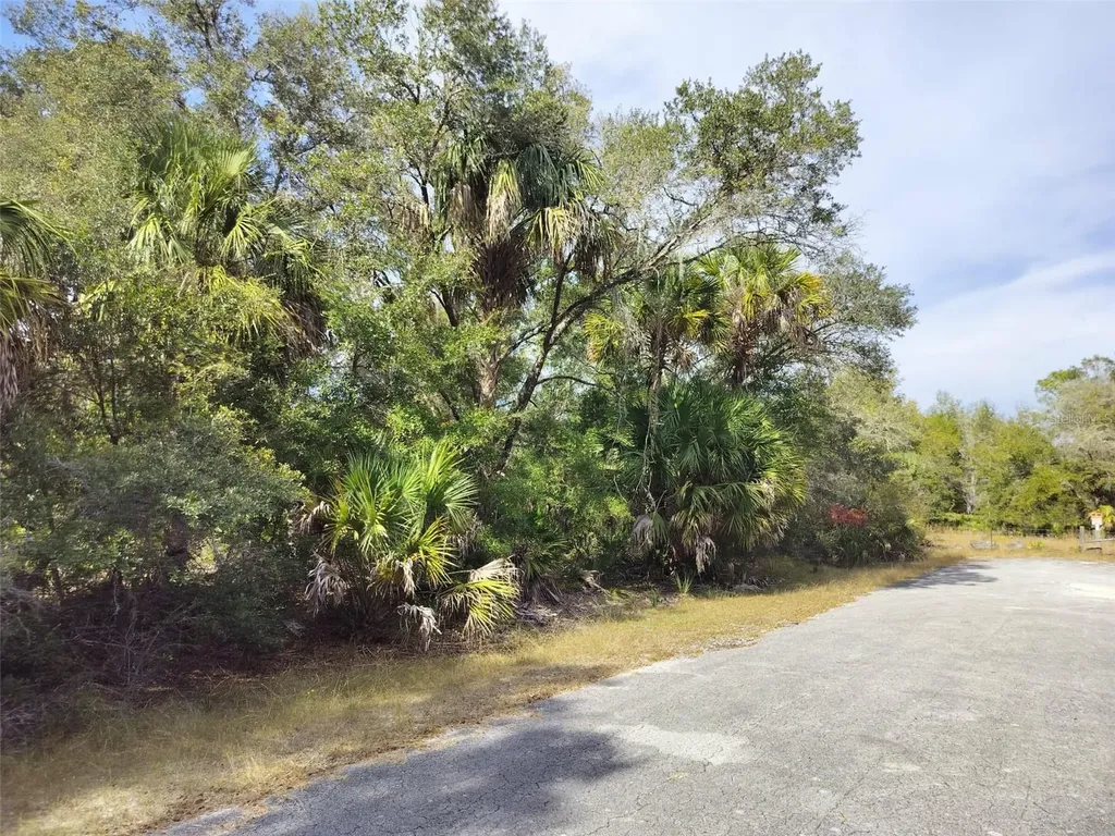 9999 N Snowball Point Crystal River FL 34428