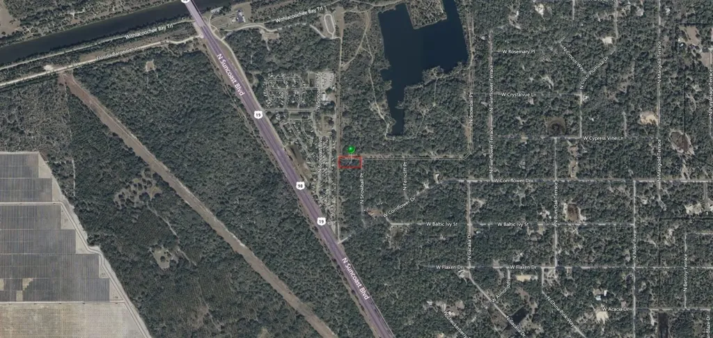9999 N Snowball Point Crystal River FL 34428