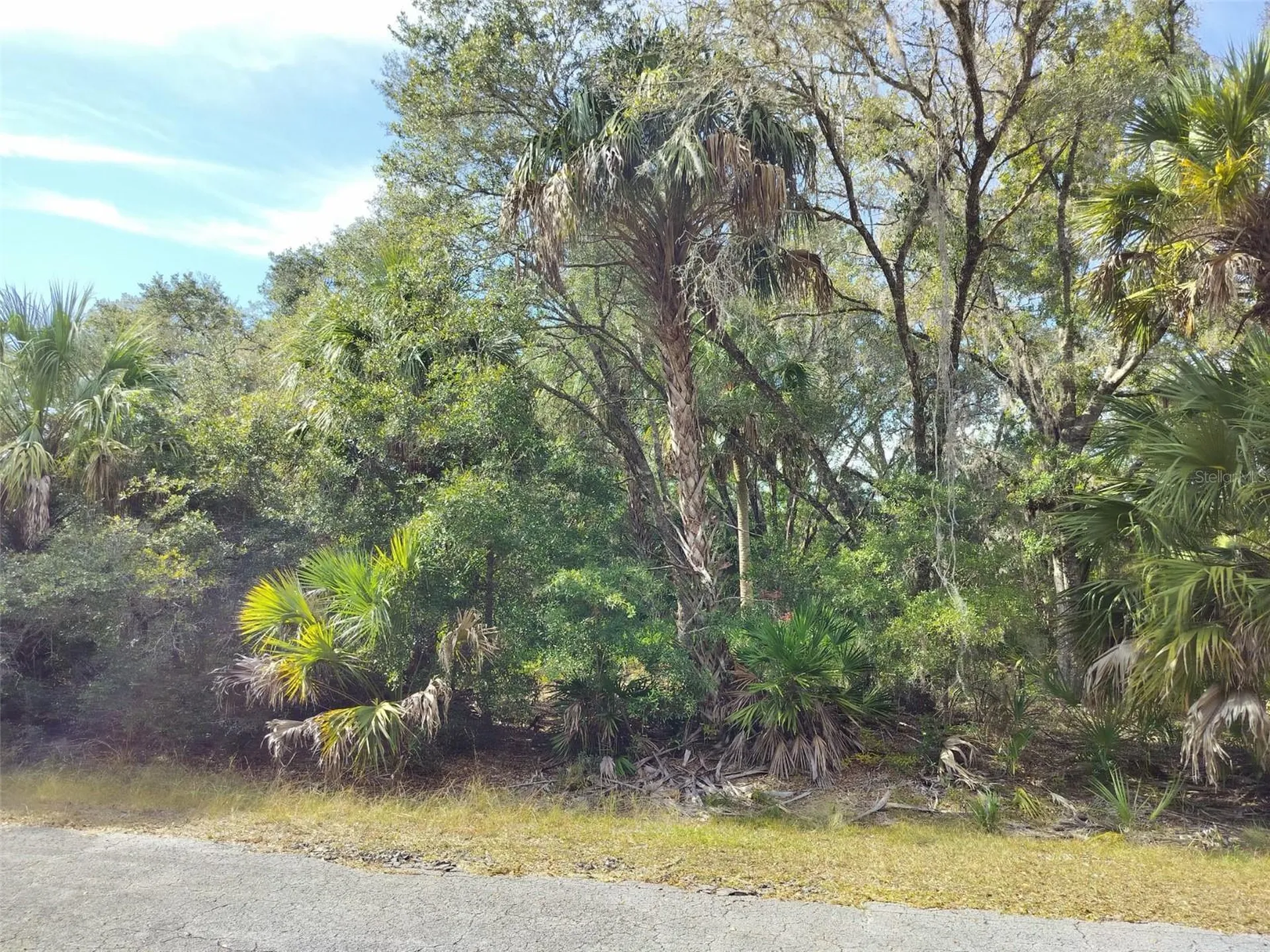 9999 N Snowball Point Crystal River FL 34428