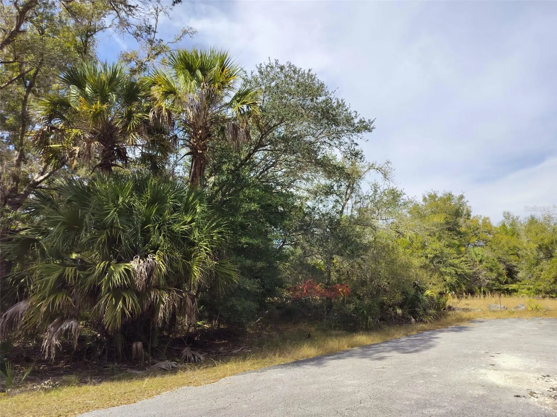 9999 N Snowball Point Crystal River FL 34428