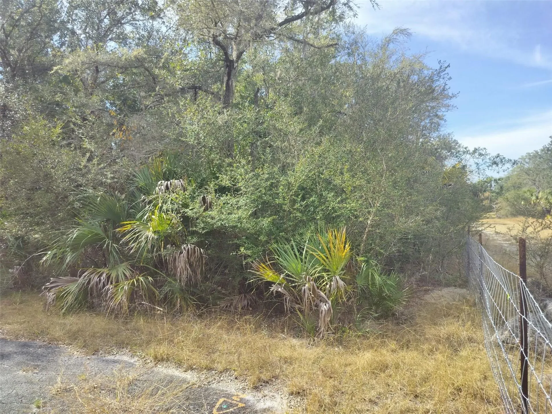 9999 N Snowball Point Crystal River FL 34428