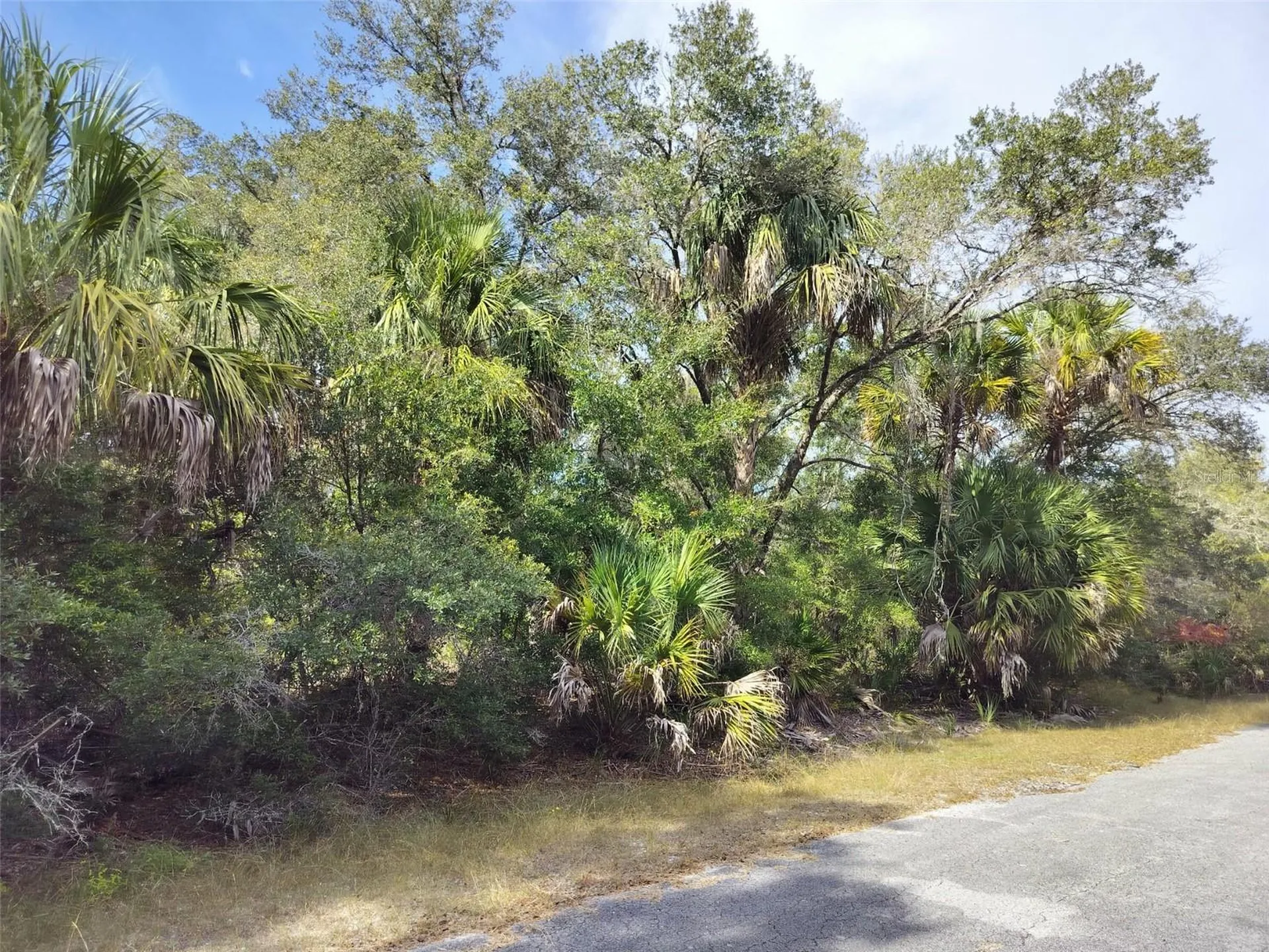 9999 N Snowball Point Crystal River FL 34428