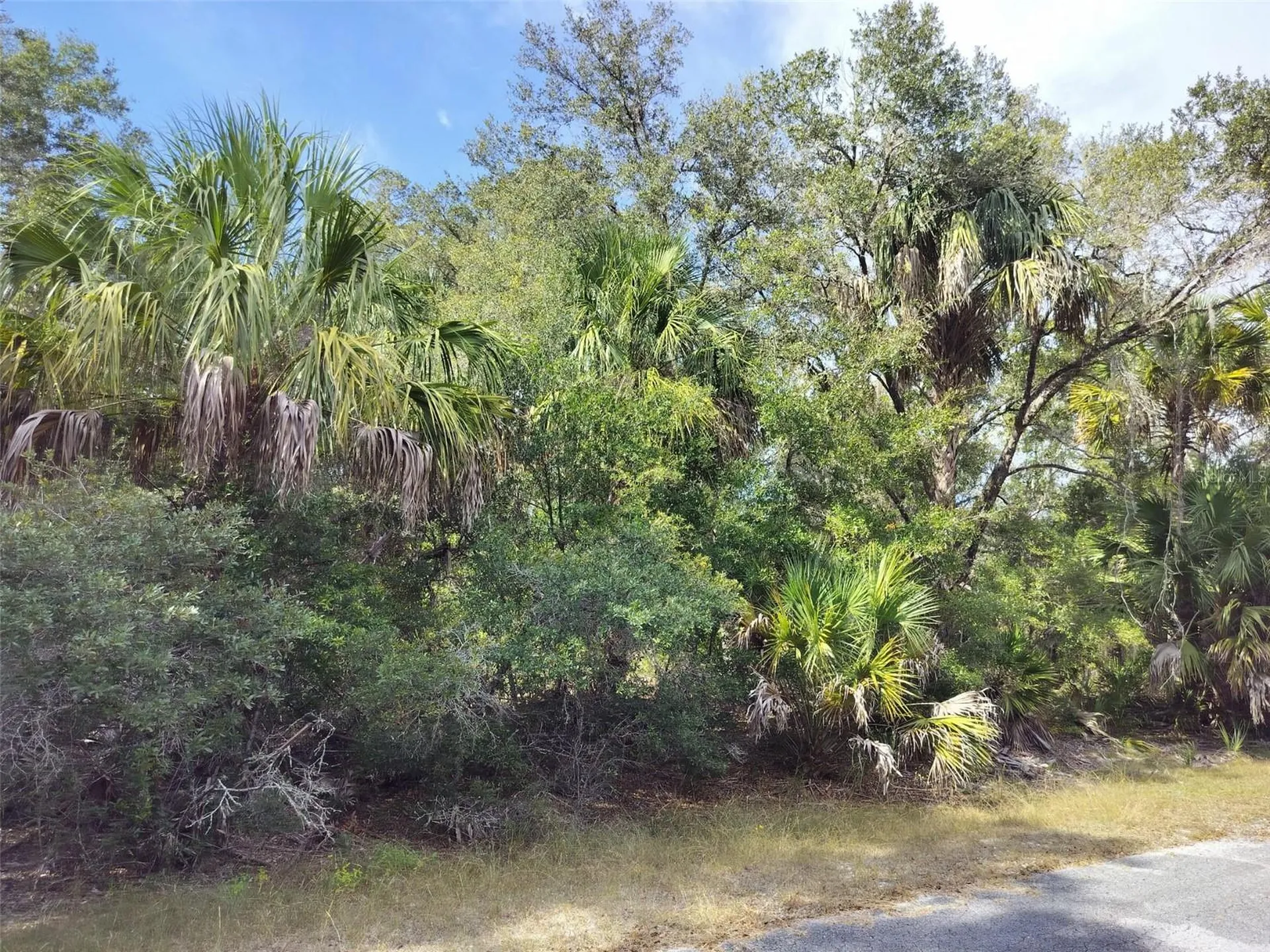 9999 N Snowball Point Crystal River FL 34428