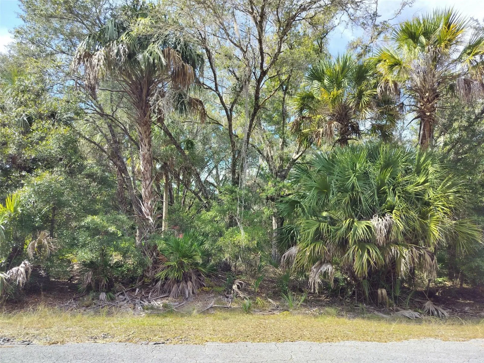 9999 N Snowball Point Crystal River FL 34428