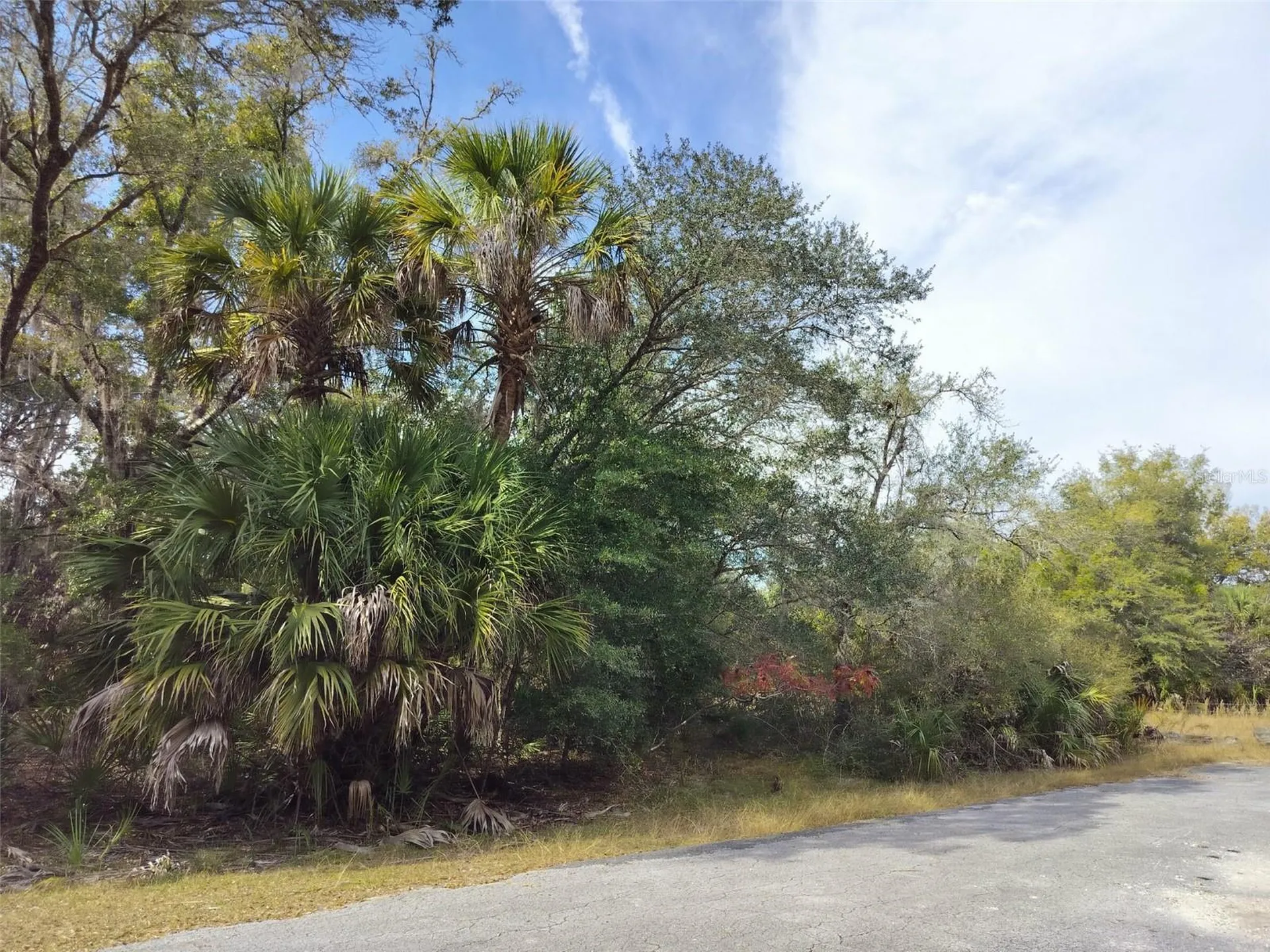9999 N Snowball Point Crystal River FL 34428