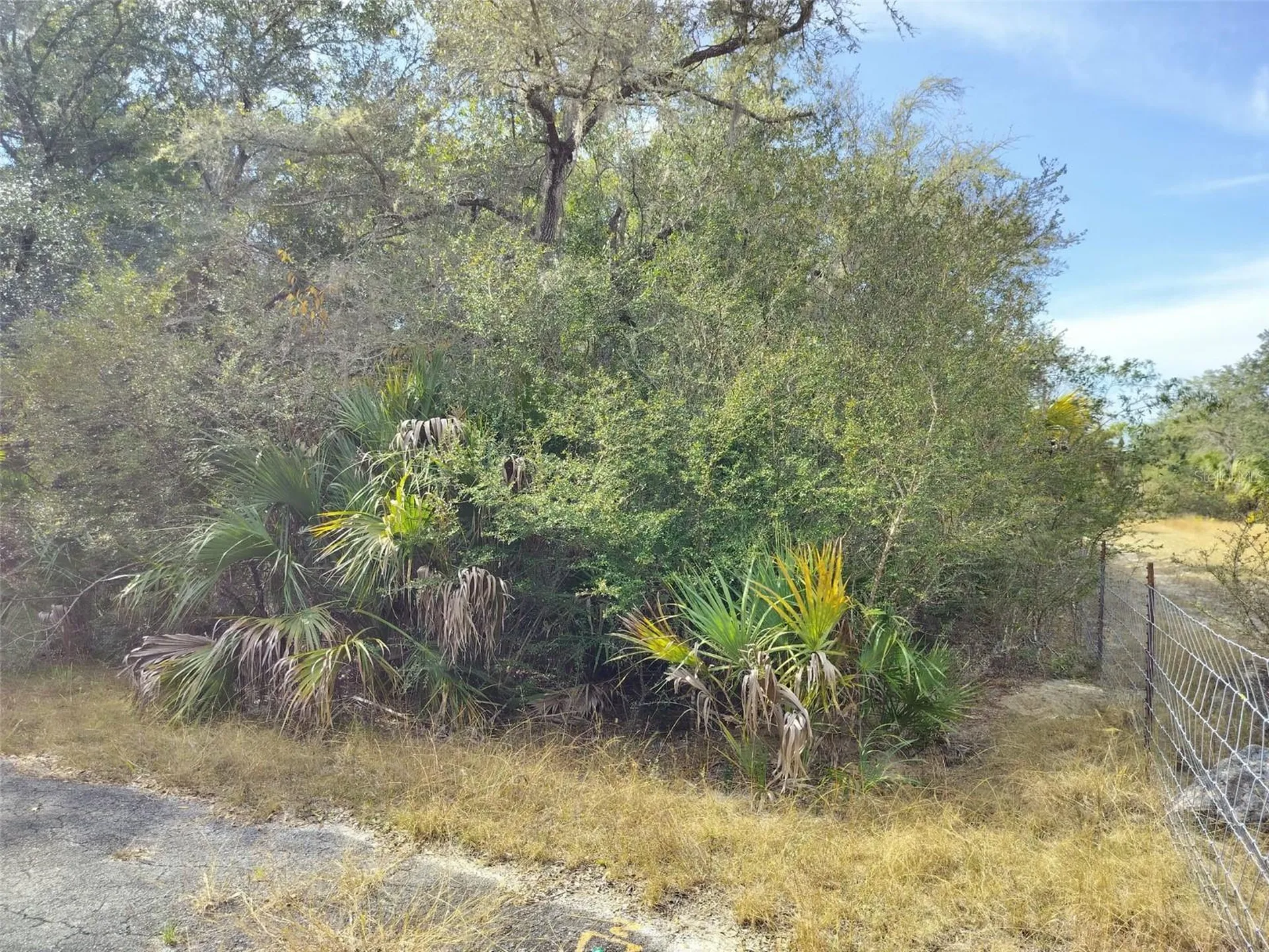 9999 N Snowball Point Crystal River FL 34428