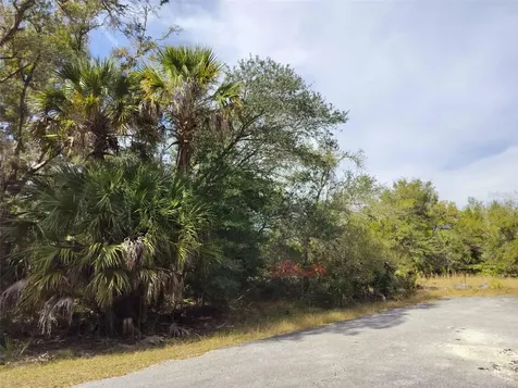 9999 N Snowball Point Crystal River FL 34428