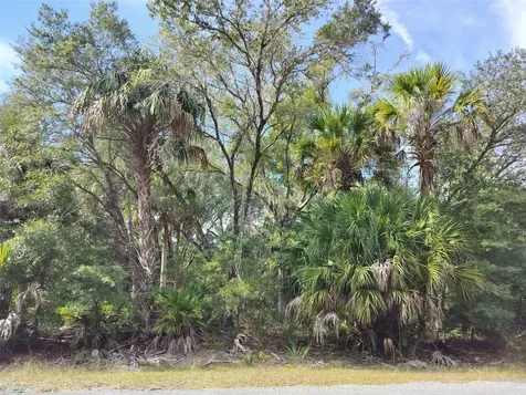 9999 N Snowball Point Crystal River FL 34428