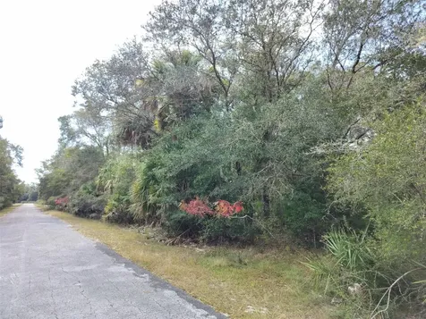 9999 N Snowball Point Crystal River FL 34428