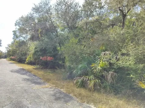 9999 N Snowball Point Crystal River FL 34428