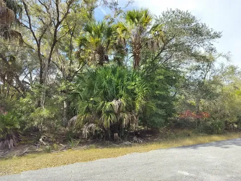 9999 N Snowball Point Crystal River FL 34428