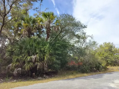 9999 N Snowball Point Crystal River FL 34428
