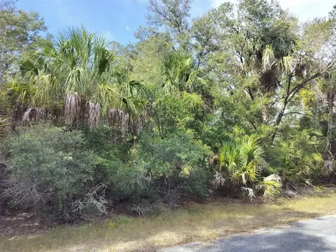 9999 N Snowball Point Crystal River FL 34428