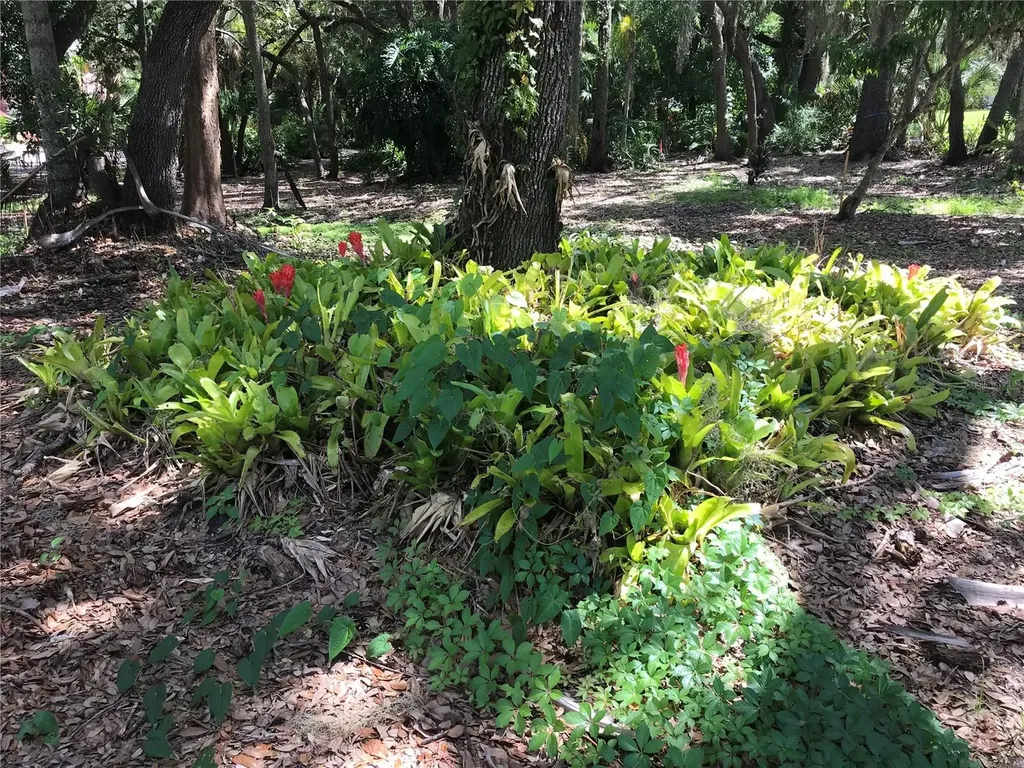4407 S Shade Avenue Sarasota FL 34231
