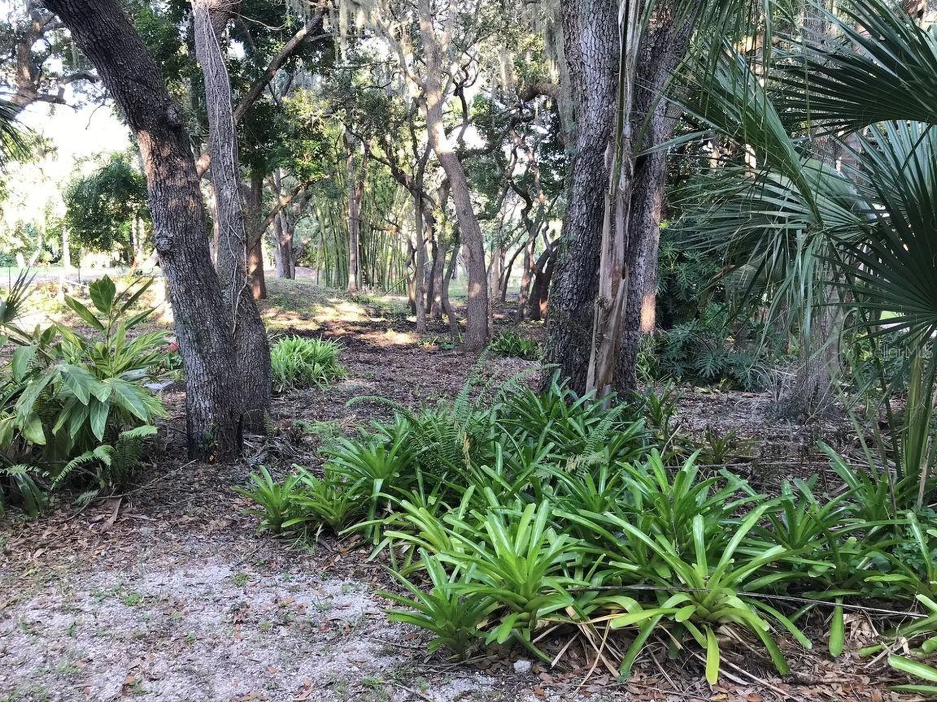 4407 S Shade Avenue Sarasota FL 34231