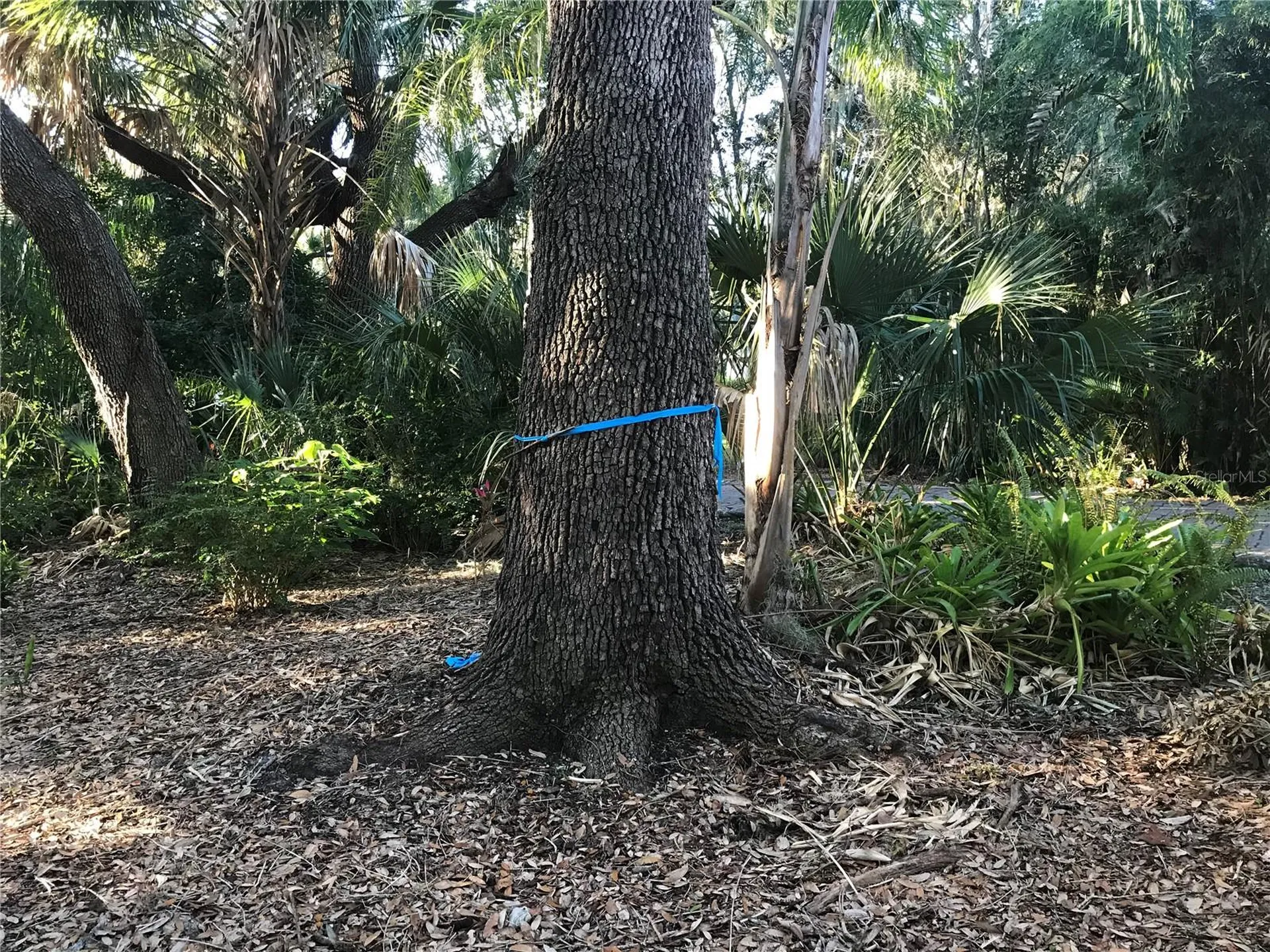 4407 S Shade Avenue Sarasota FL 34231