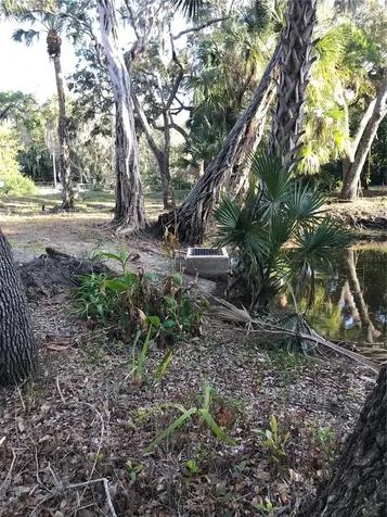 4407 S Shade Avenue Sarasota FL 34231