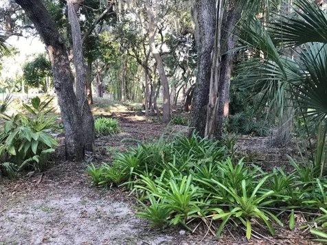 4407 S Shade Avenue Sarasota FL 34231