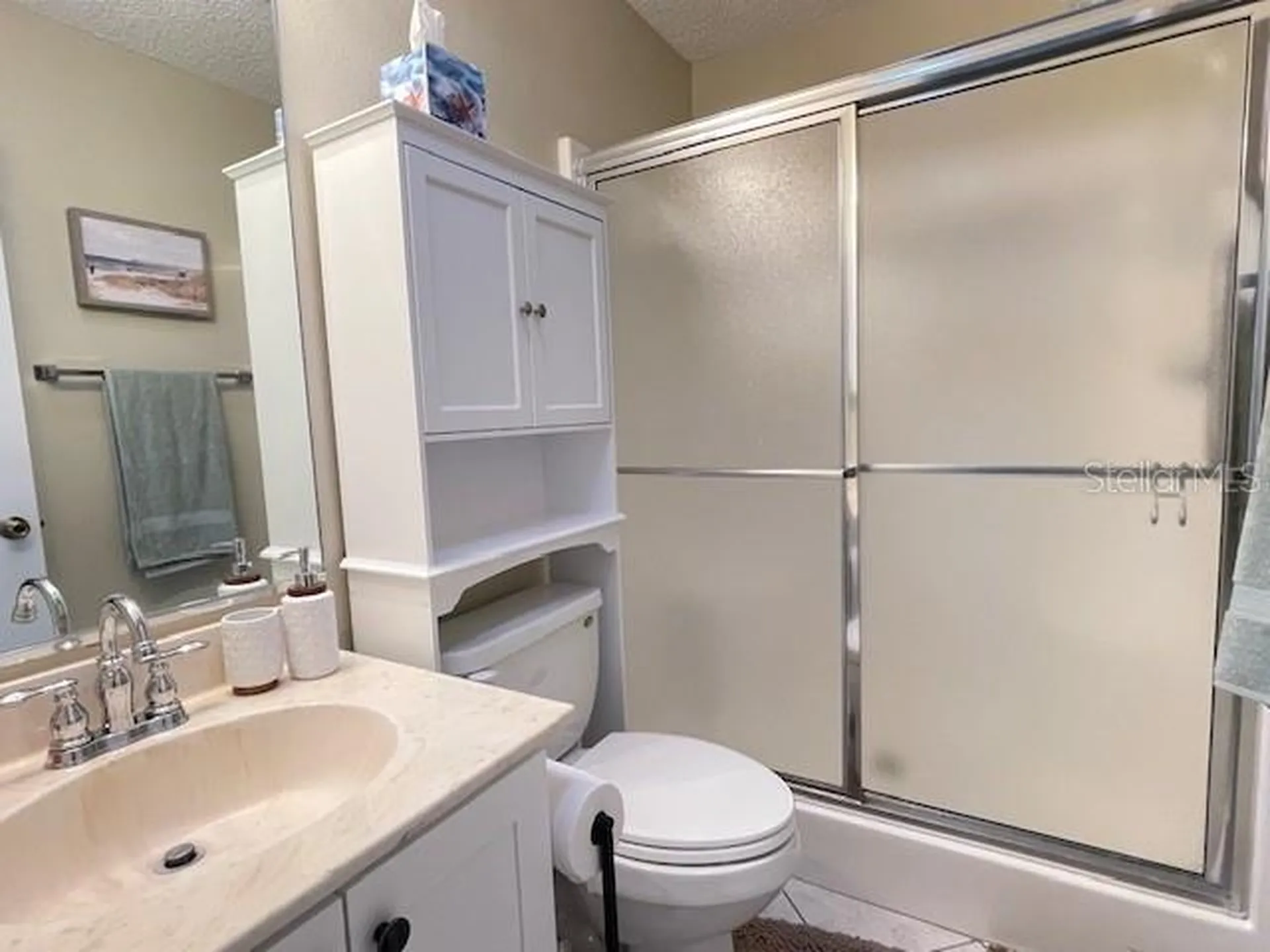 2814 Burgos Drive The Villages FL 32162