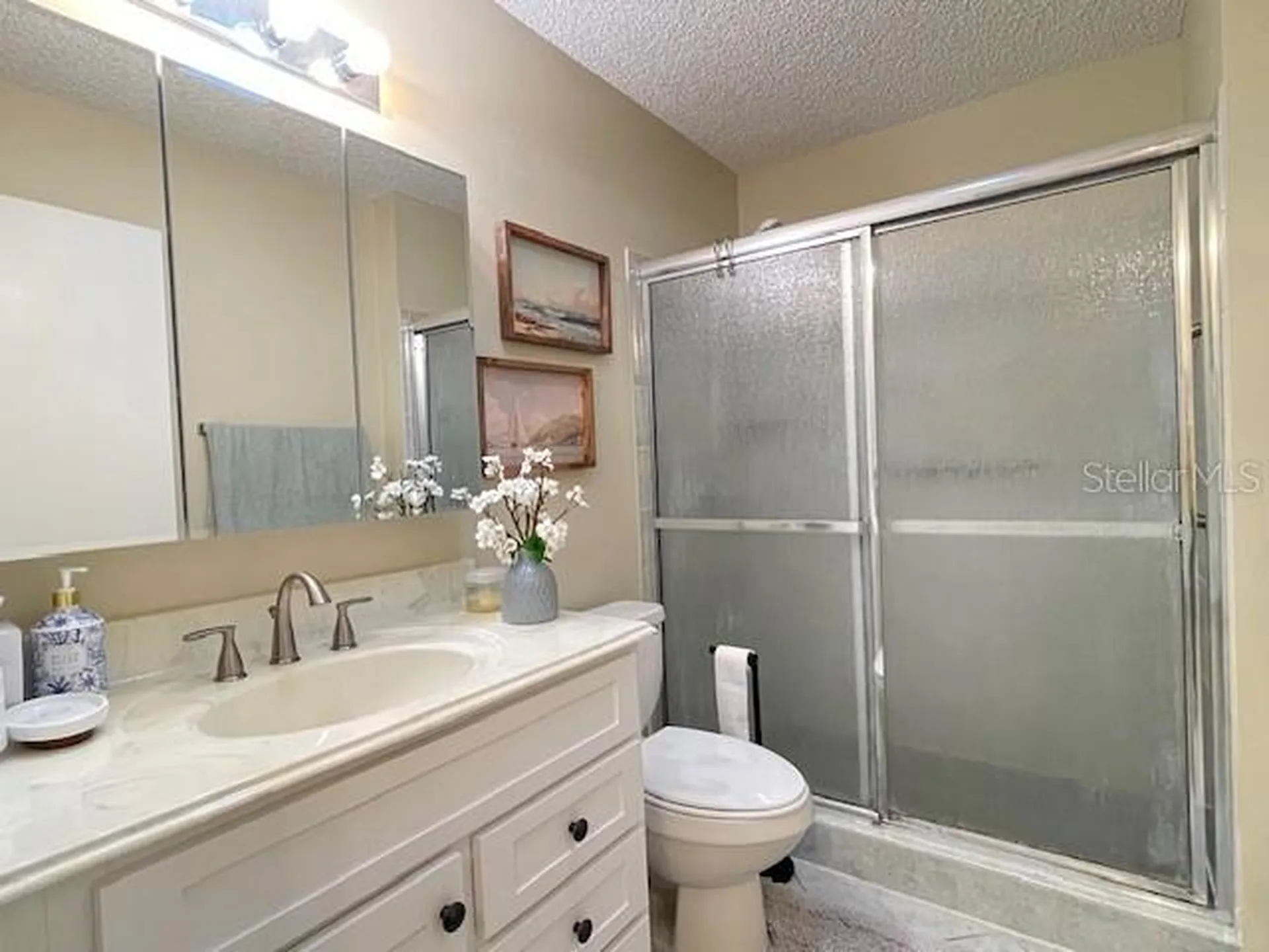 2814 Burgos Drive The Villages FL 32162