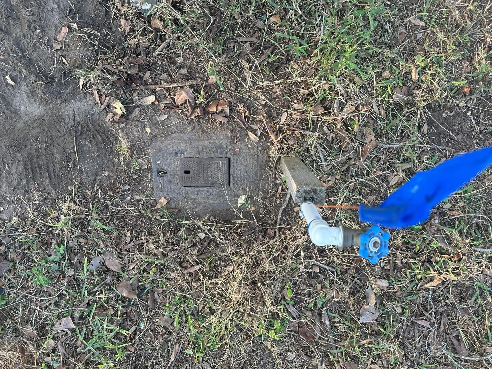 Lime Avenue Seffner FL 33584