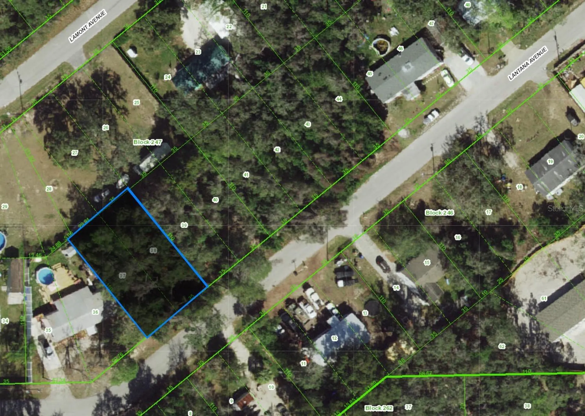 00 Lantana Avenue New Port Richey FL 34654