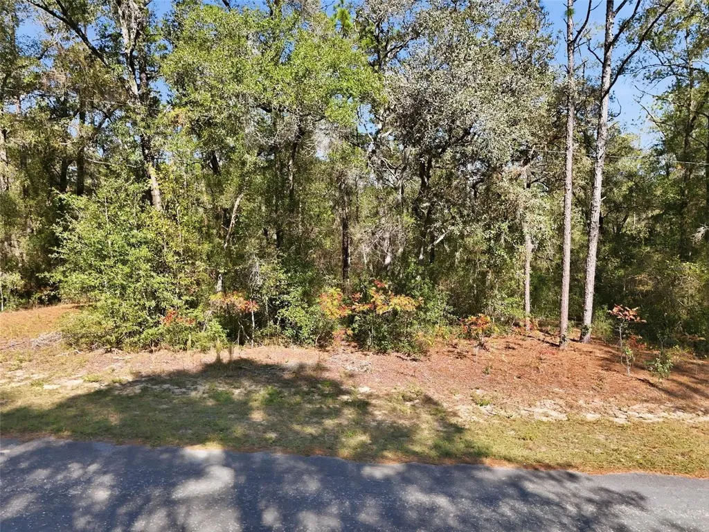 2237 W Striblin Drive Citrus Springs FL 34434