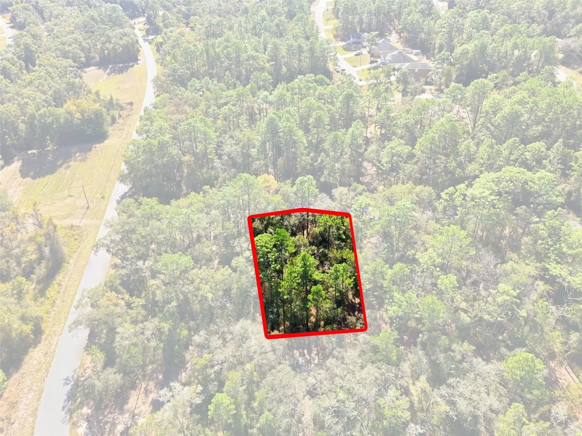 2237 W Striblin Drive Citrus Springs FL 34434