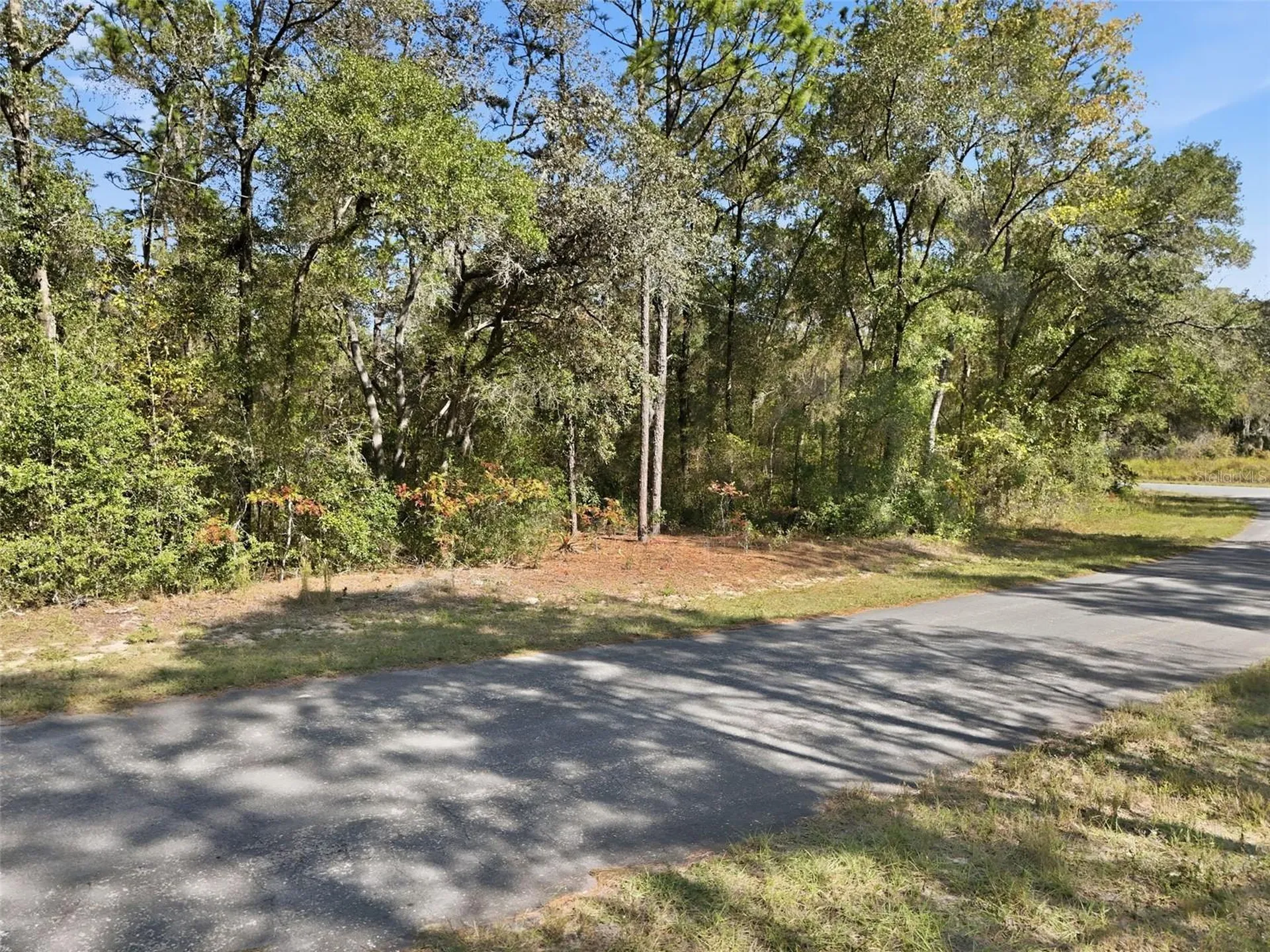 2237 W Striblin Drive Citrus Springs FL 34434