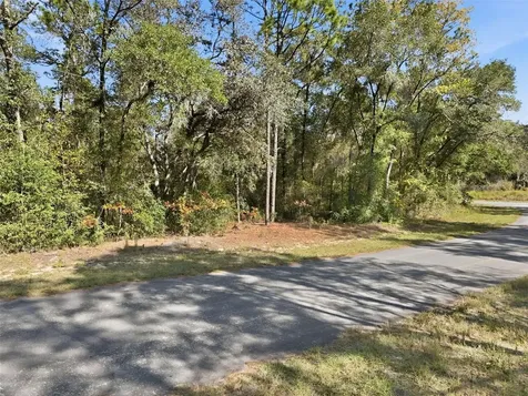 2237 W Striblin Drive Citrus Springs FL 34434