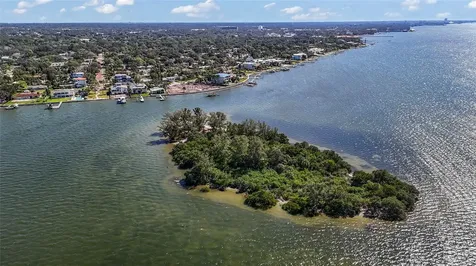 115 Buena Vista Drive S Dunedin FL 34698