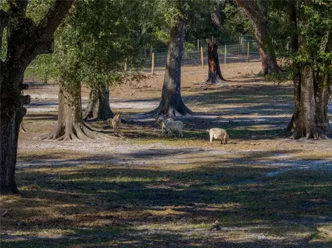 9550 Cr 614a Bushnell FL 33513